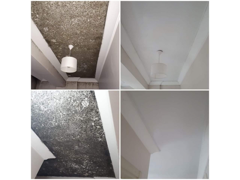 Sakarya'da Isabet Yalıtım olarak, kaliteli ısı yalıtımı, ses yalıtımı ve su yalıtım çözümleri sunuyoruz. Yalıtım ürünleri bayiliği ile sektördeki güvenilir 